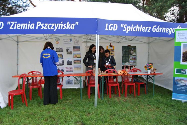 Kliknij aby zobaczy peny rozmiar