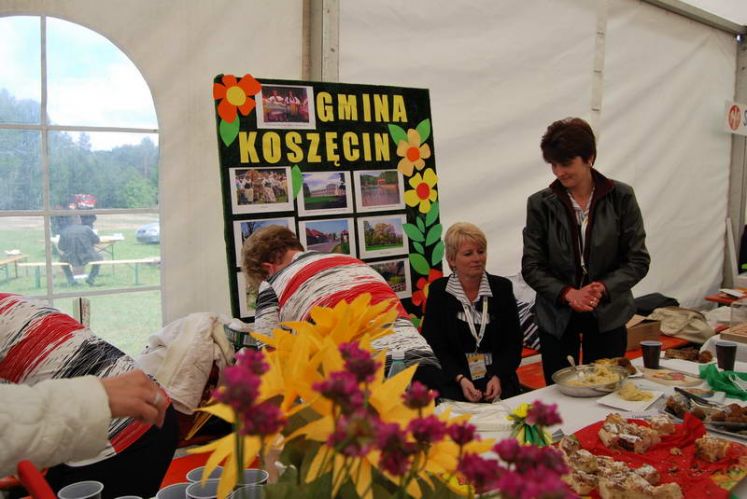 Kliknij aby zobaczy peny rozmiar