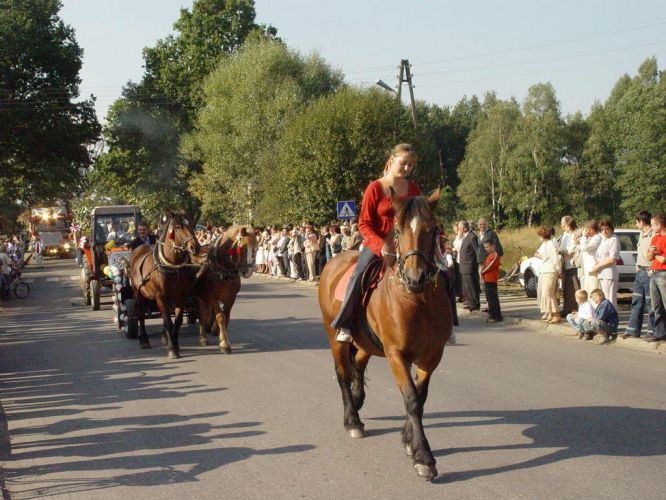 Kliknij aby zobaczy peny rozmiar