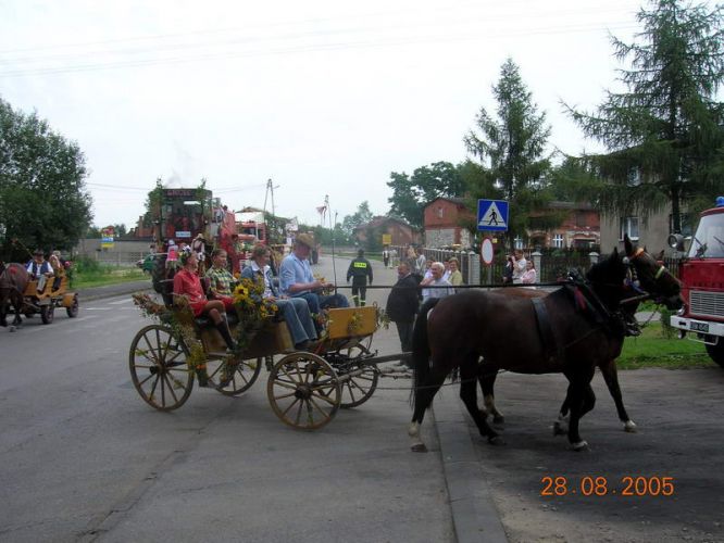 Kliknij aby zobaczy peny rozmiar