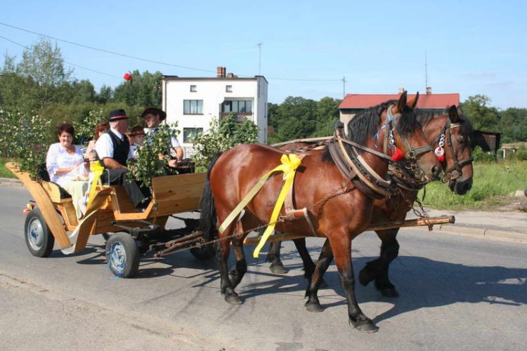 Kliknij aby zobaczy peny rozmiar