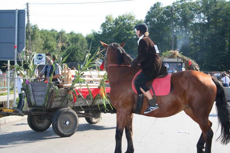 Kliknij aby zobaczy peny rozmiar