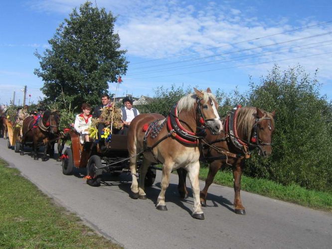 Kliknij aby zobaczy peny rozmiar