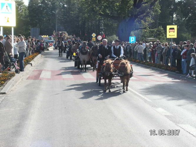 Kliknij aby zobaczy peny rozmiar