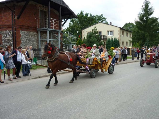 Kliknij aby zobaczy peny rozmiar