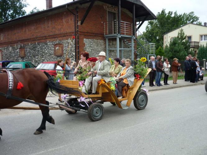 Kliknij aby zobaczy peny rozmiar