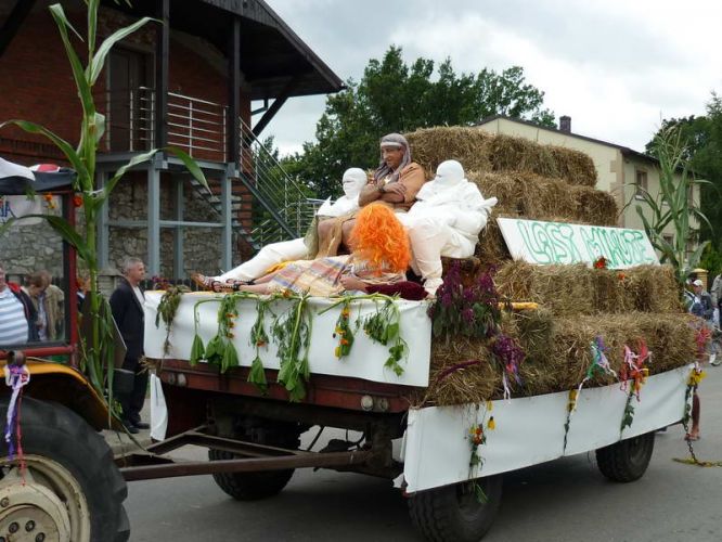 Kliknij aby zobaczy peny rozmiar