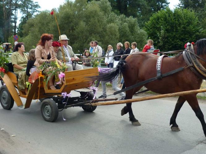 Kliknij aby zobaczy peny rozmiar