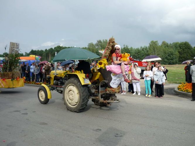 Kliknij aby zobaczy peny rozmiar