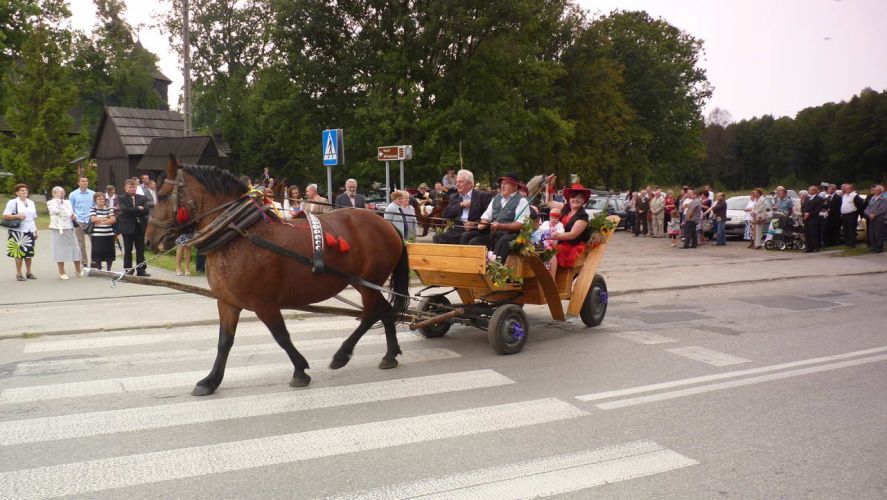 Kliknij aby zobaczy peny rozmiar