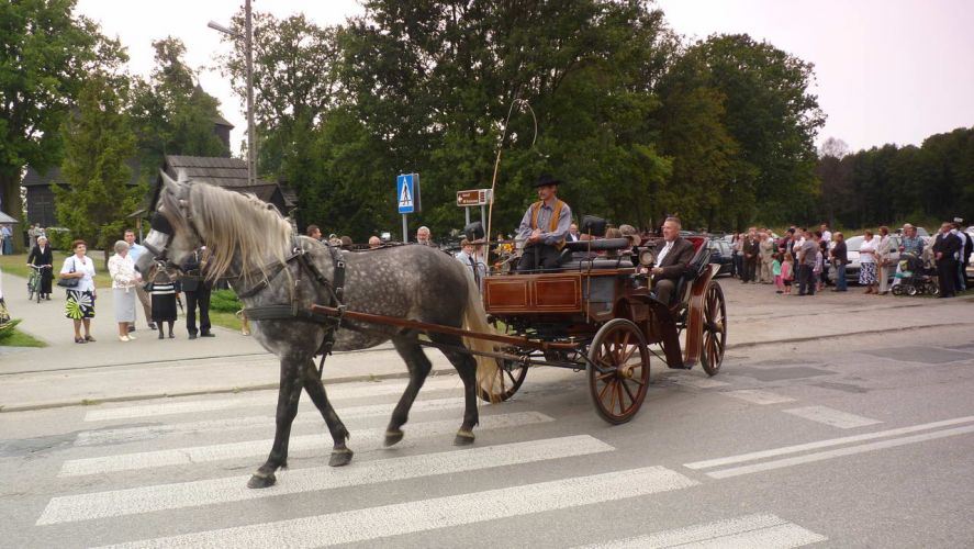 Kliknij aby zobaczy peny rozmiar