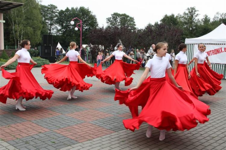 Kliknij aby zobaczy peny rozmiar