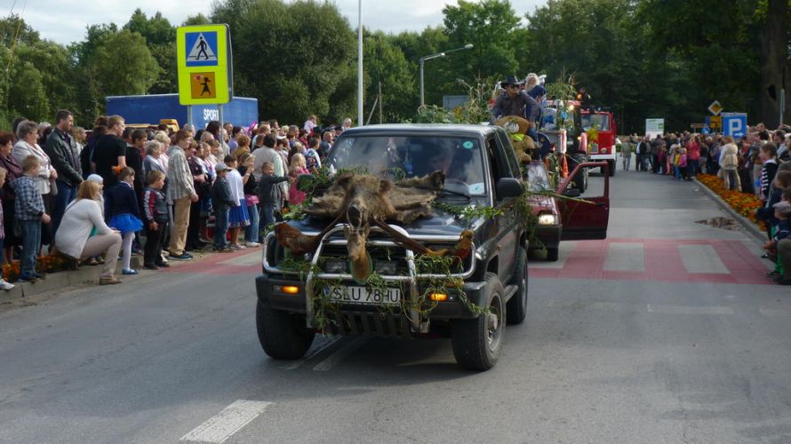 Kliknij aby zobaczy peny rozmiar