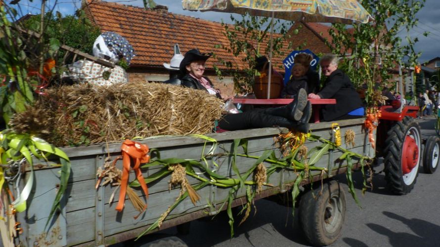 Kliknij aby zobaczy peny rozmiar