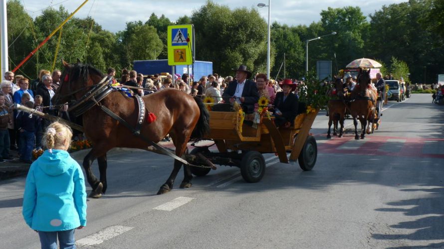 Kliknij aby zobaczy peny rozmiar