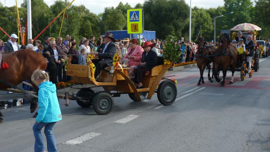 Kliknij aby zobaczy peny rozmiar