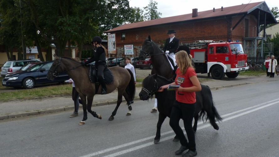 Kliknij aby zobaczy peny rozmiar