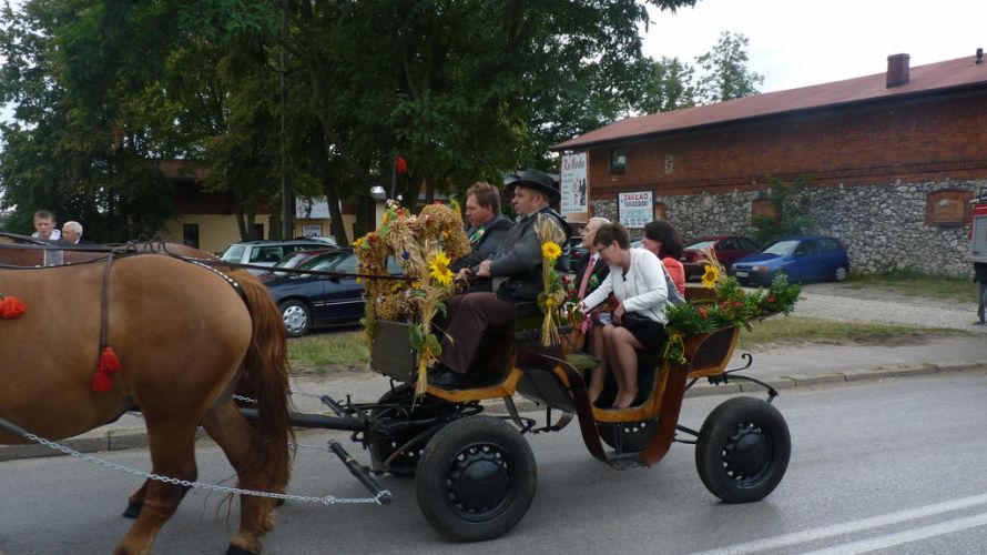 Kliknij aby zobaczy peny rozmiar