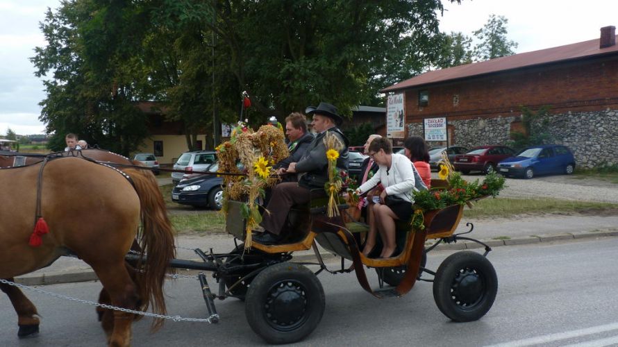 Kliknij aby zobaczy peny rozmiar