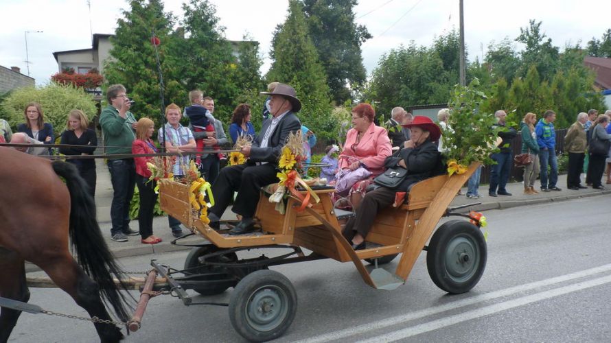 Kliknij aby zobaczy peny rozmiar