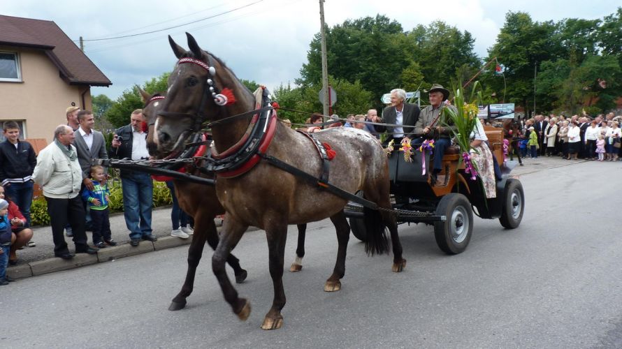 Kliknij aby zobaczy peny rozmiar