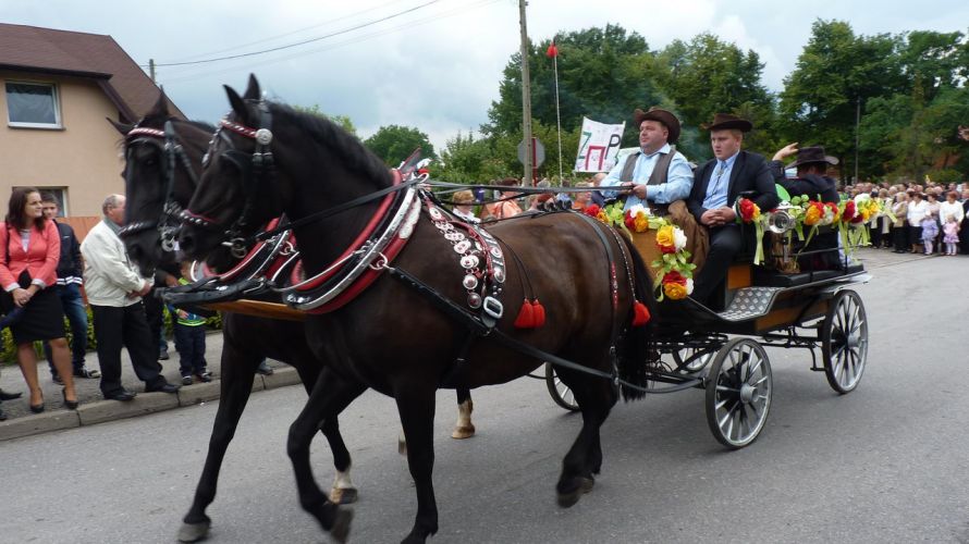 Kliknij aby zobaczy peny rozmiar