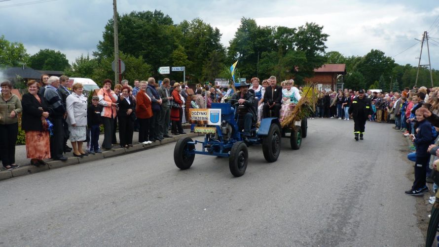 Kliknij aby zobaczy peny rozmiar