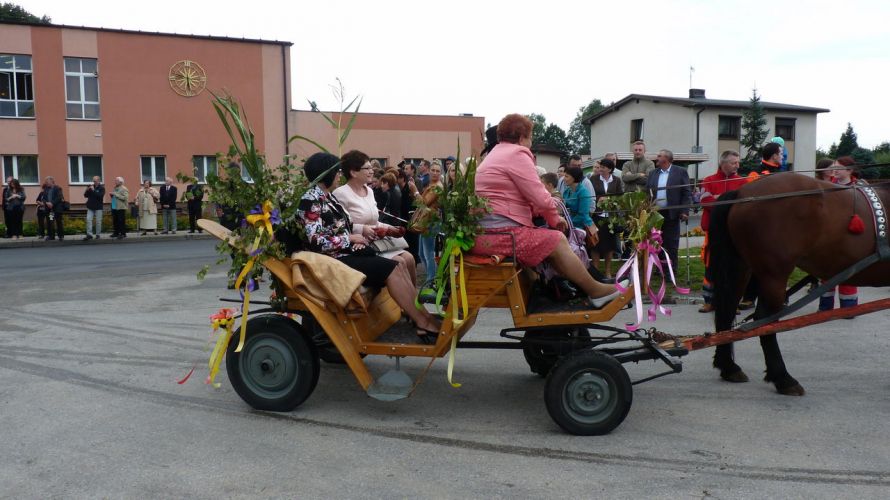 Kliknij aby zobaczy peny rozmiar