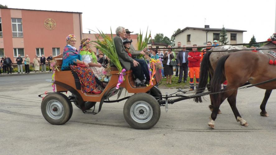 Kliknij aby zobaczy peny rozmiar