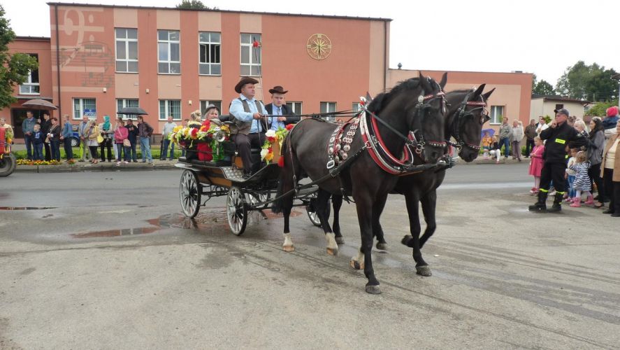 Kliknij aby zobaczy peny rozmiar