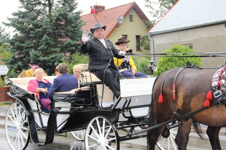 Kliknij aby zobaczy peny rozmiar