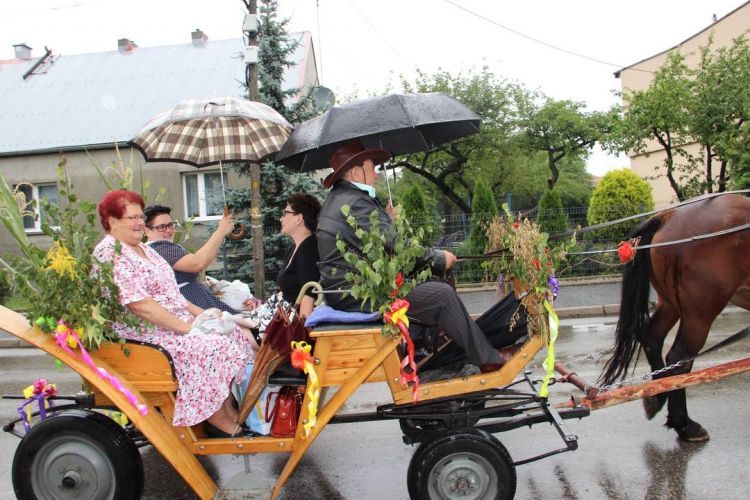 Kliknij aby zobaczy peny rozmiar