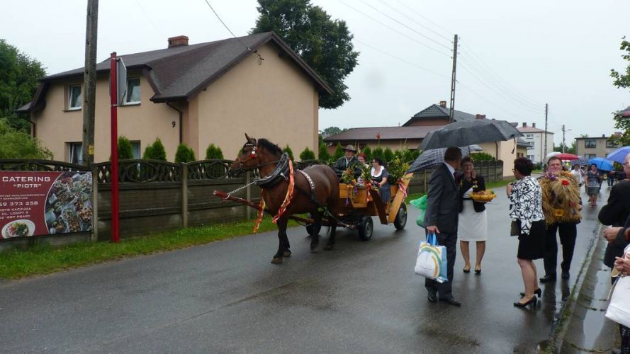 Kliknij aby zobaczy peny rozmiar