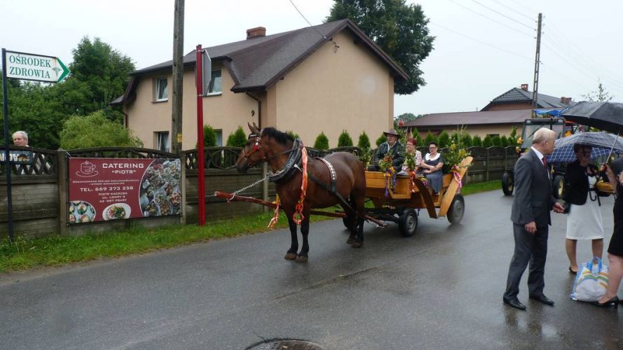 Kliknij aby zobaczy peny rozmiar