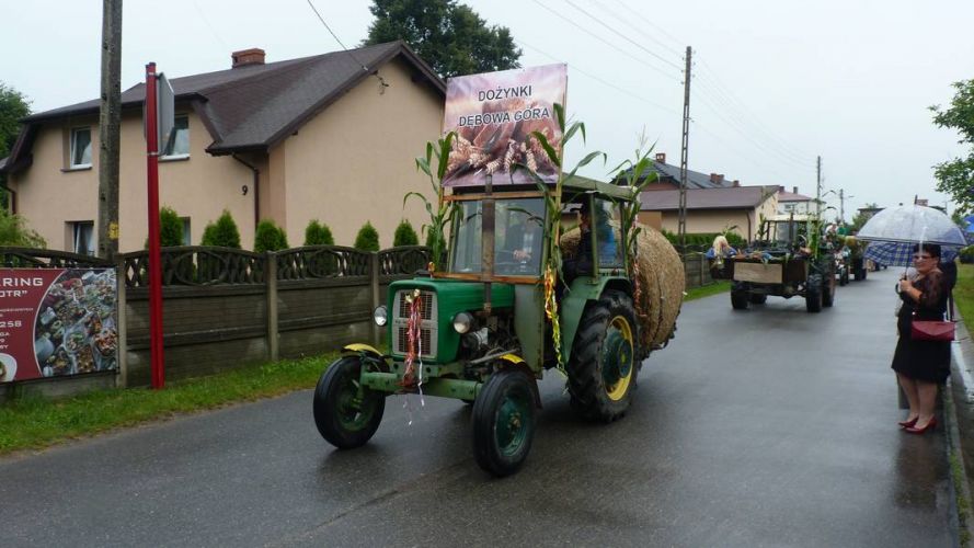 Kliknij aby zobaczy peny rozmiar