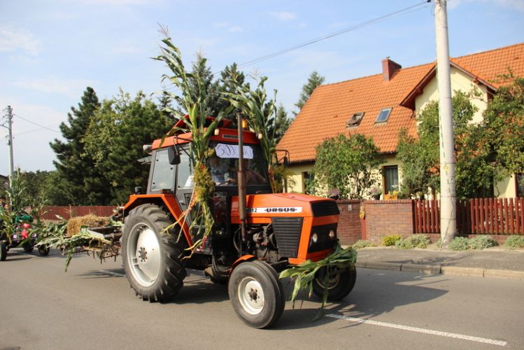 Kliknij aby zobaczy peny rozmiar