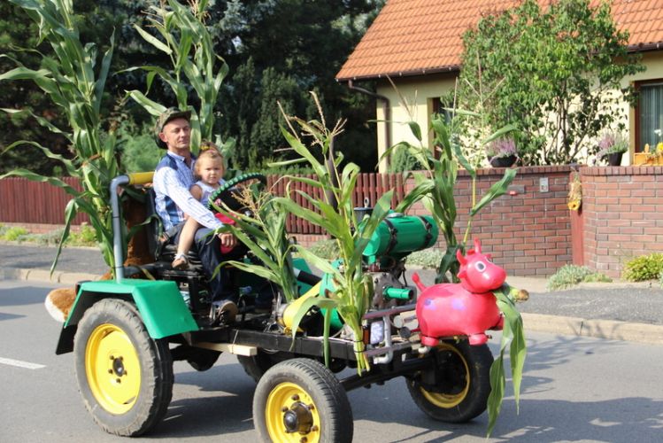 Kliknij aby zobaczy peny rozmiar