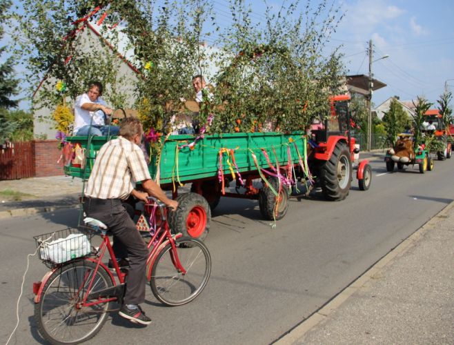 Kliknij aby zobaczy peny rozmiar