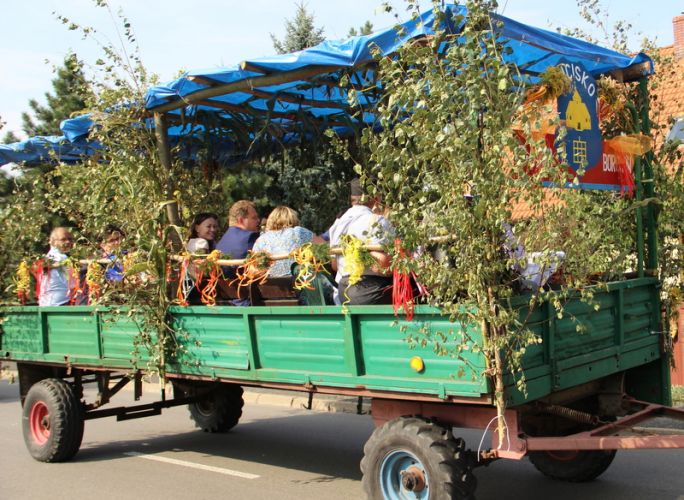 Kliknij aby zobaczy peny rozmiar