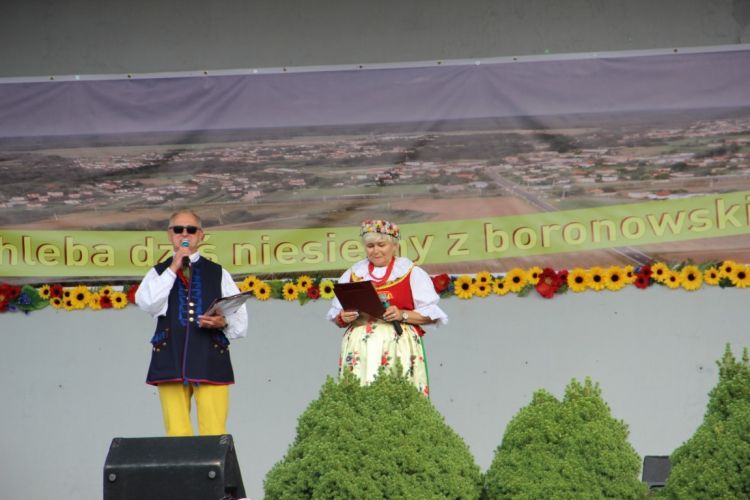 Kliknij aby zobaczy peny rozmiar