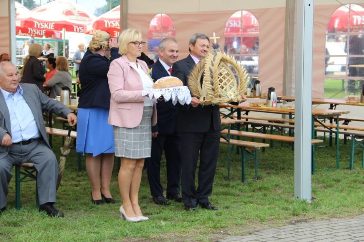 Kliknij aby zobaczy peny rozmiar