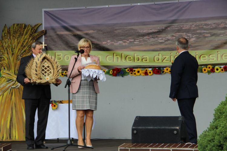 Kliknij aby zobaczy peny rozmiar