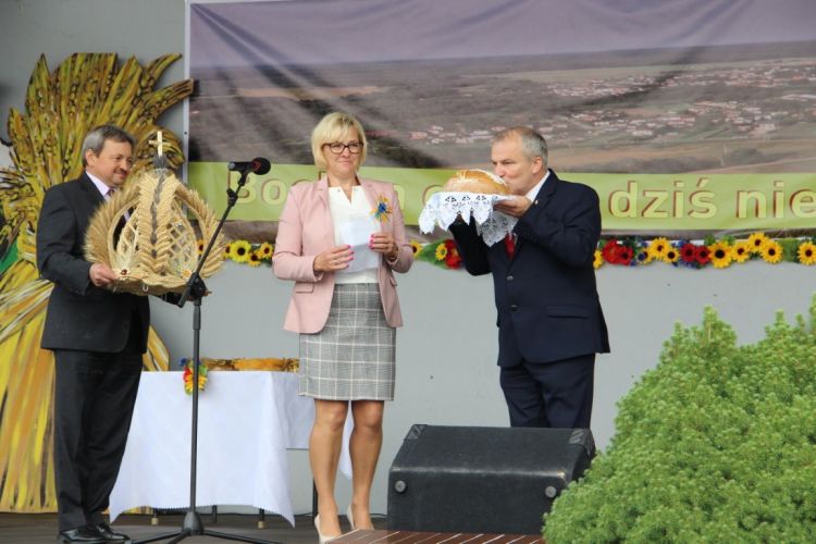 Kliknij aby zobaczy peny rozmiar