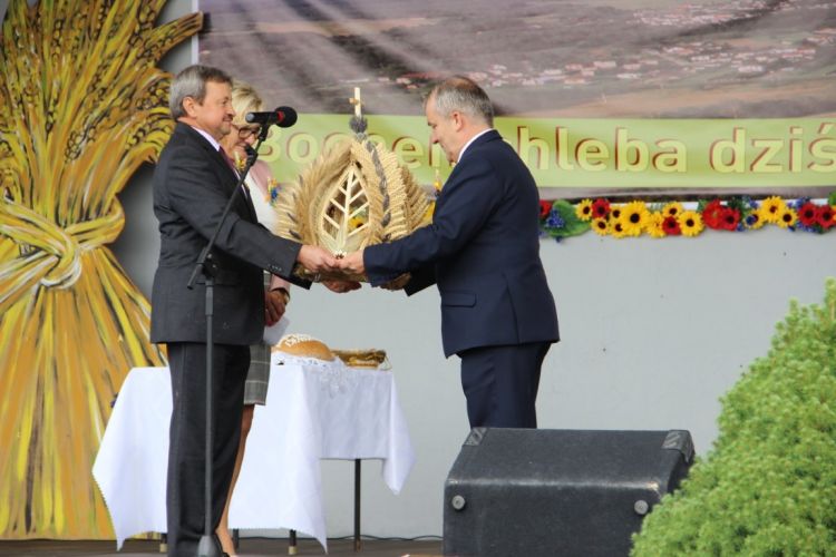 Kliknij aby zobaczy peny rozmiar