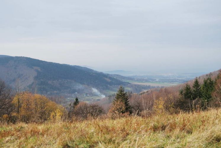 Kliknij aby zobaczy peny rozmiar